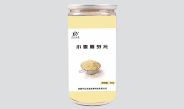 小麦胚芽养元粉